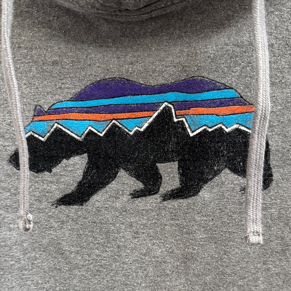Patagonia Gray Hoodie with Bear Graphic - Picture 6 of 8